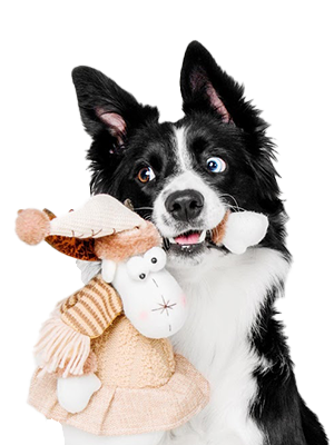 Pet Toys