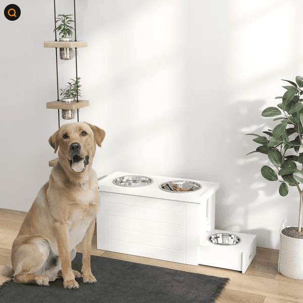 Elevated Bowls & Storage Cabinet
