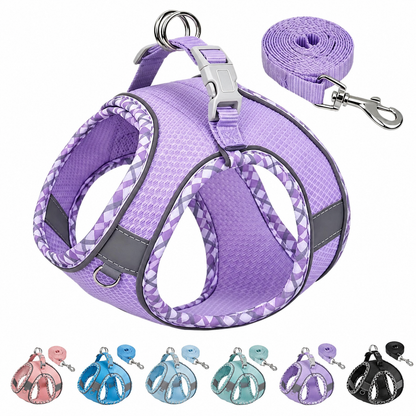 Small Dog Harness & Leash Set