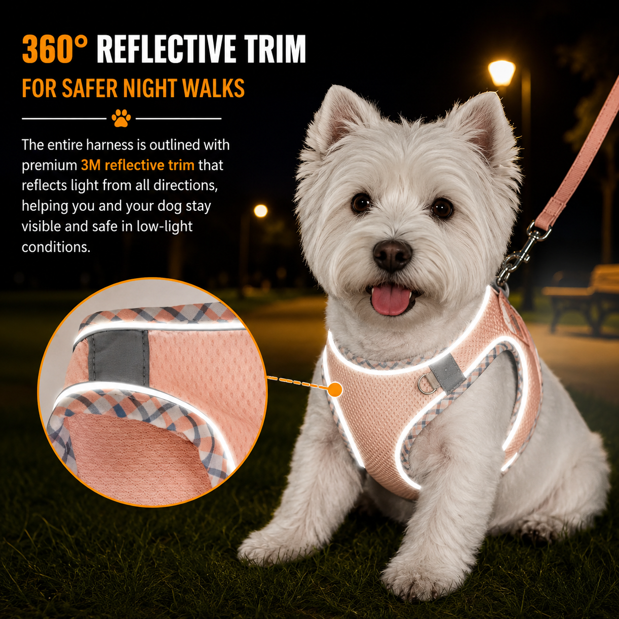 Small Dog Harness & Leash Set