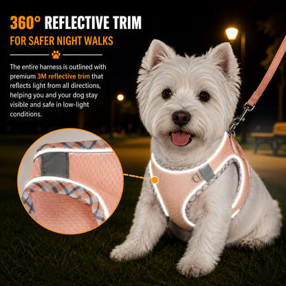 Small Dog Harness & Leash Set