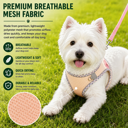 Small Dog Harness & Leash Set