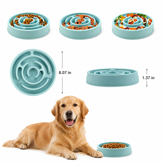 Eco Slow-Feed Bowl