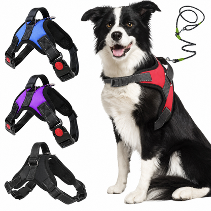 No-Pull Harness & Leash Set