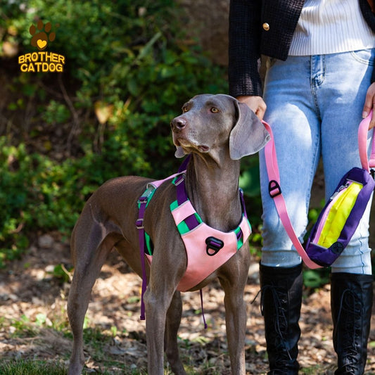 SafeGuard Harness & Leash Set