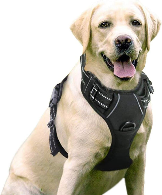 No-Pull Pet Harness