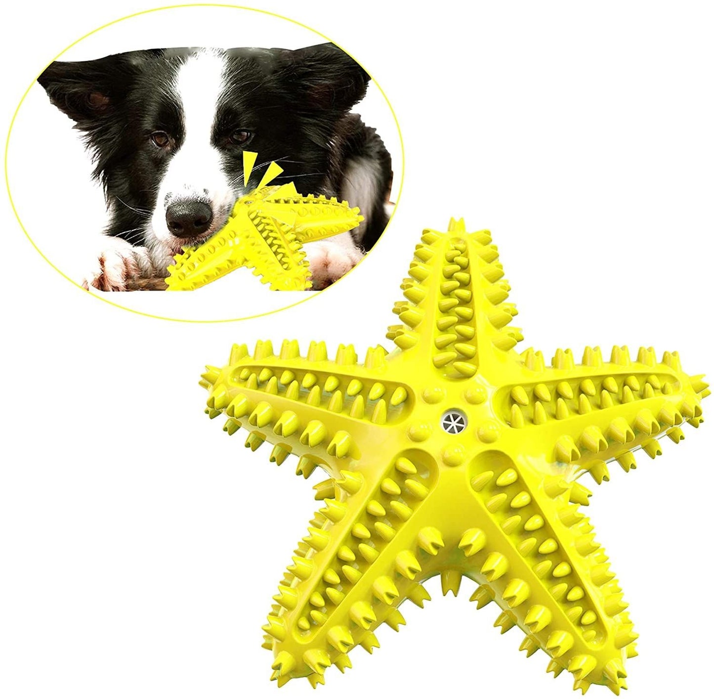 Dog Chew Toys, Natural Rubber Starfish-Shaped Dog Toys, Interactive Treats, Squeaky Dog Toothbrush Cleaner Teething Toys, Outdoor Puzzle Training