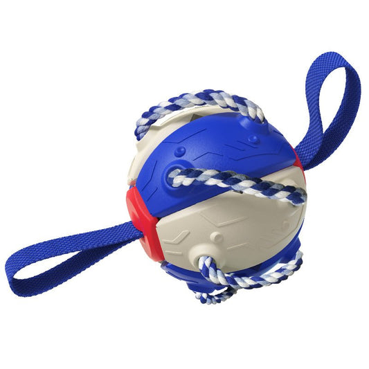 Soccer Ball Molar Toy Toy Outdoor Training Ball for Puppy Dog Chew Dog Accessories