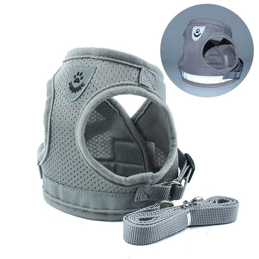 Soft Mesh Harness and Leash Set
