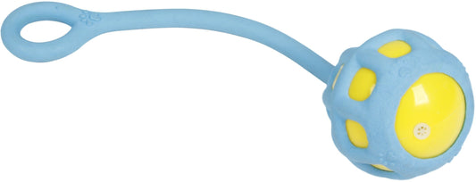 Pet Life Tug-O-Warp Dog Toy