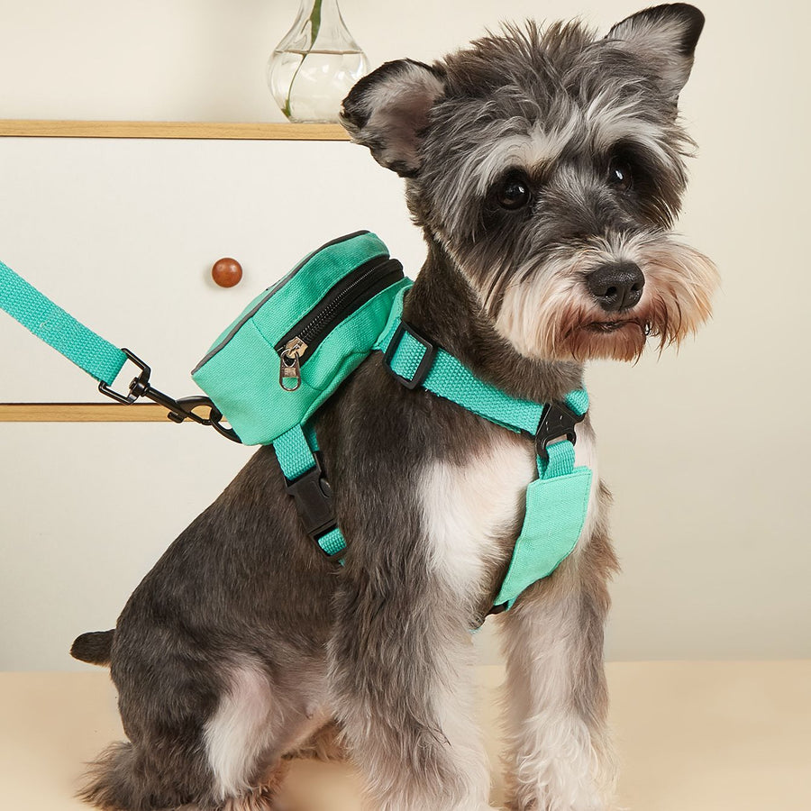 Animal Backpack Leash and Harness Set