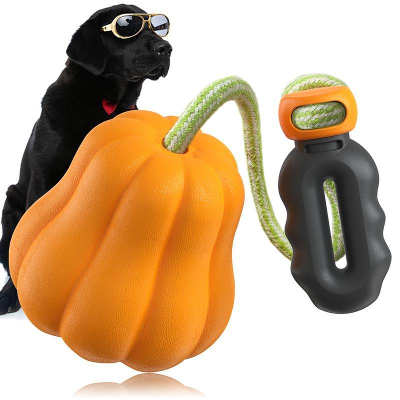 Pumpkin Squeak & Fetch