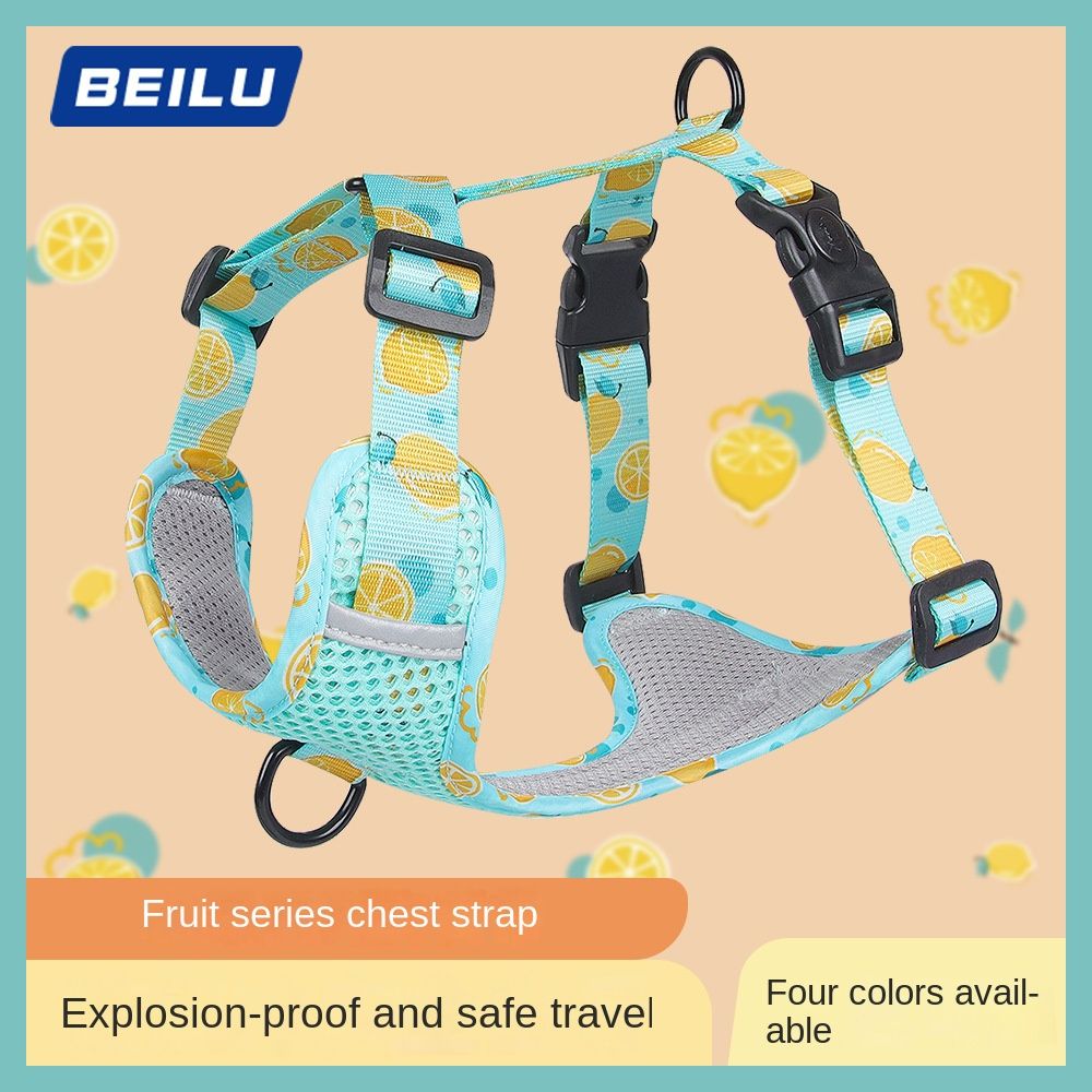 Fruit Dog Harness - Lake blue / S