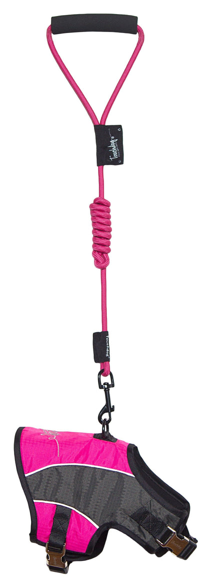 Touchdog Reflective-Max 2-in-1 Premium Performance Harness and Leash Set - X-Small