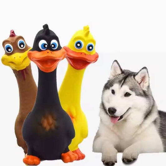 Screaming Rubber Chicken - 3 Pack